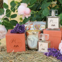 Daxau Style International