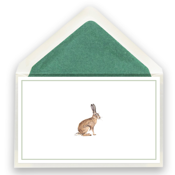 22_hase