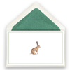 22_hase
