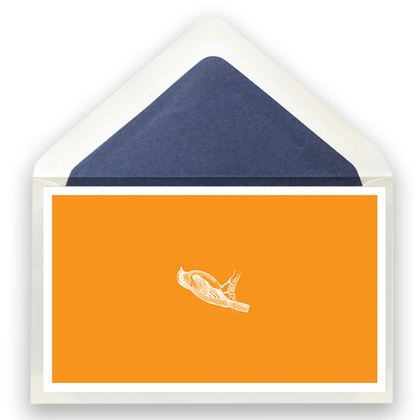 31_vogel_orange