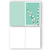 62_weiden_1