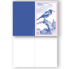 104_vogelstich_1