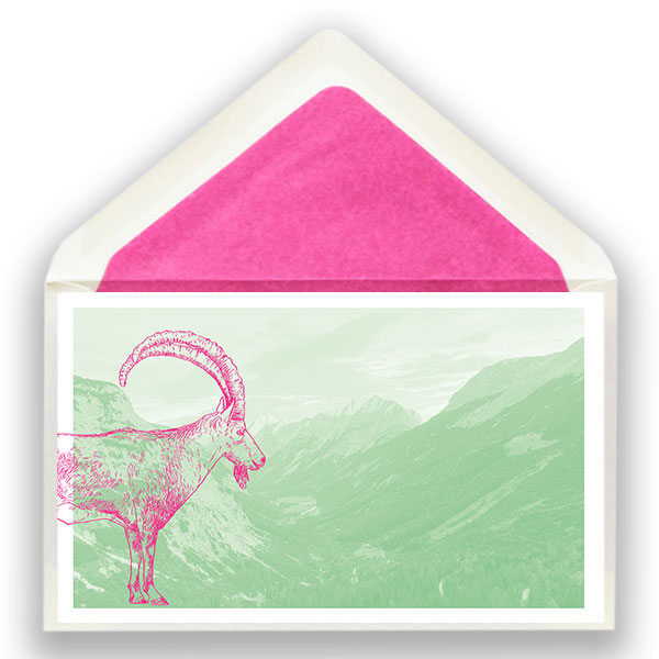 160_berge_steinbock_umschlag