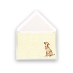 Karte klein Hund