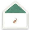 22_hase