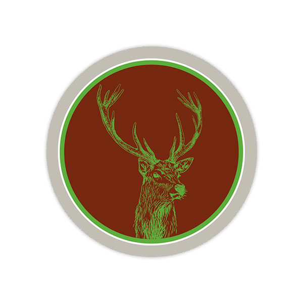 241_hirsch