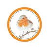 242_vogel