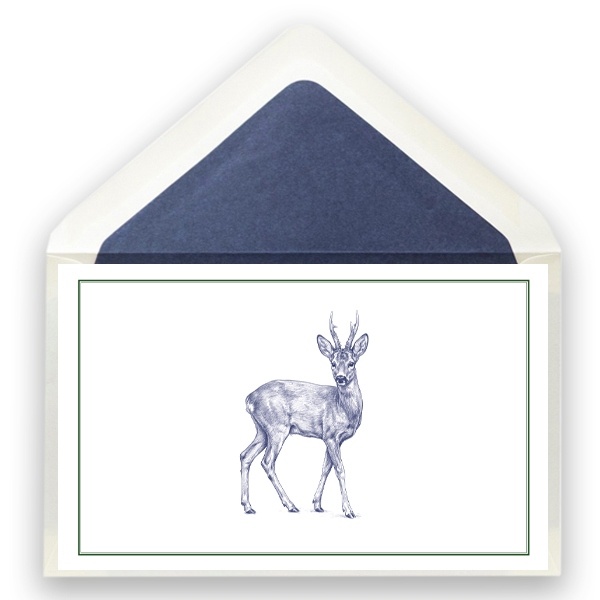269_jagd_rehbock
