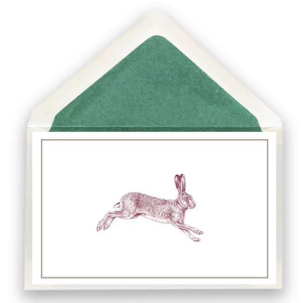 268_jagd_hase