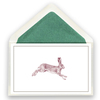 268_jagd_hase